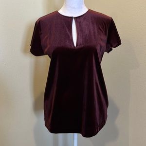NWOT Ann Taylor maroon velvet blouse